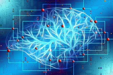 Проверьте свои знания https://pixabay.com/