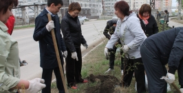 Чиновники показали личный пример посадки деревьев в Якутске Анатолий Трофимов, ИА YakutiaMedia