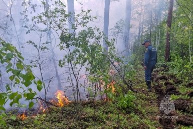 Лесные пожары в Якутии МЧС России по Якутии