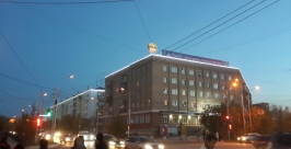 Открытие светодиодного дерева  Алена Подковырова