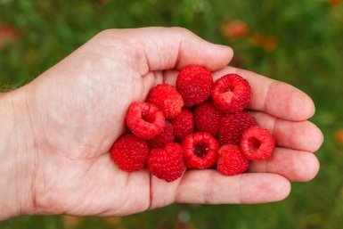 Тематическое фото pxhere.com