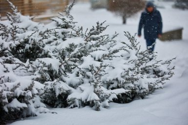 Гороскоп на 10 февраля: Обратите внимание на детали в документах или договорах Дмитрий Осипчук, ИА PrimaMedia.ru