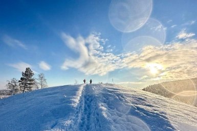 Гороскоп на 15 февраля: День сложится из мелких, но значимых совпадений ИА YakutiaMedia