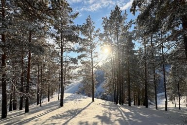 Гороскоп на 16 февраля: Этот день принесет ощущение ясности ИА YakutiaMedia