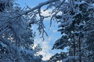 Гороскоп на 19 февраля: Теоретические планы требуют проверки ИА YakutiaMedia