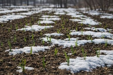 Тематическое фото ИИ Кандинский