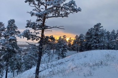 Гороскоп на 24 февраля: День проходит под знаком выбора направления ИА YakutiaMedia