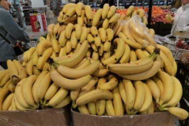 Бананы ИА PrimaMedia