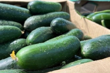 Огуречная диета: польза, риски и как не навредить здоровью ИА Stavropol.Media