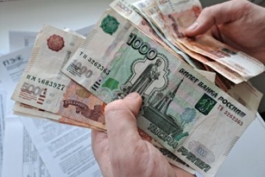 Платежи Долгополова Ольга, ИА UssurMedia
