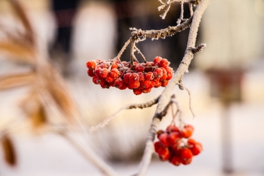 Гороскоп на 4 марта: Информация потребует тщательного анализа Юлия Ушакова, ИА IrkutskMedia