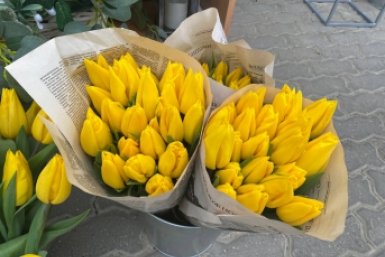 Сколько стоят цветы в Якутске Артём Хорошилов  , ИА Stavropol.Media