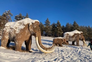 Гороскоп на 6 марта: День располагает движению к намеченным целям ИА YakutiaMedia