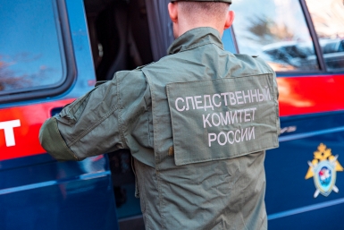 В Якутии обнаружили тело мужчины, погибшего от укусов стаи собак Илья Аверьянов, ИА PrimaMedia