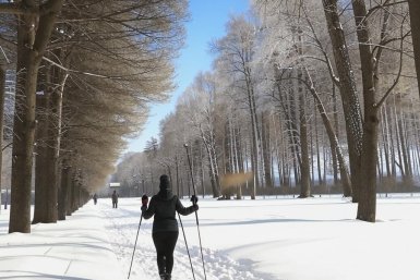 Скандинавская ходьба поможет вернуться к активности после праздников сгенерировано сервисом &quotКандинский&quot (18+)