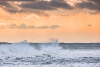 Гороскоп на 14 марта: Важно сохранять ясность мышления Илья Аверьянов, ИА PrimaMedia