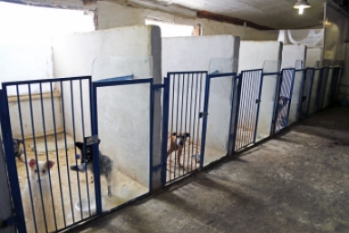 Власти приняли меры безопасности жителей поселка в Якутии после трагедии ИА IrkutskMedia