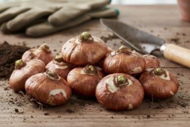 Тематическое фото ИИ Кандинский (18+)