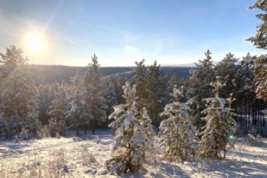 Гороскоп на неделю: приятные хлопоты Тельца, Водолей в центре притяжения ИА YakutiaMedia