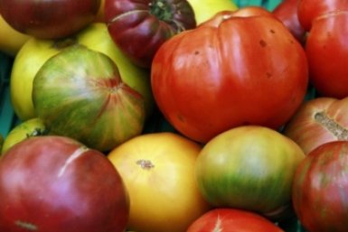 Тематическое фото pxhere.com (18+)