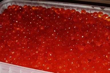 Красная икра ИА KamchatkaMedia