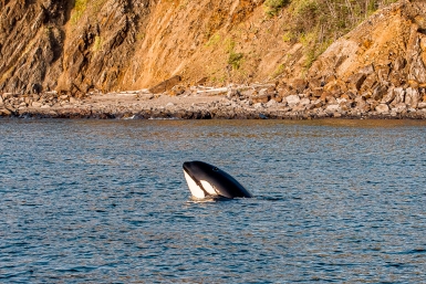 Гороскоп на 2 апреля: Важно не распыляться на множество дел Мария Смитюк, ИА PrimaMedia