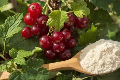  Создано при помощи ИИ