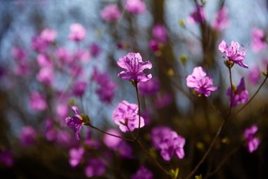Гороскоп на 4 апреля: спонтанные поездки Тельца, преимущество Водолея Дмитрий Осипчук, ИА PrimaMedia.ru