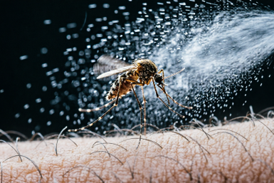 Тематическое фото Создано при помощи ИИ