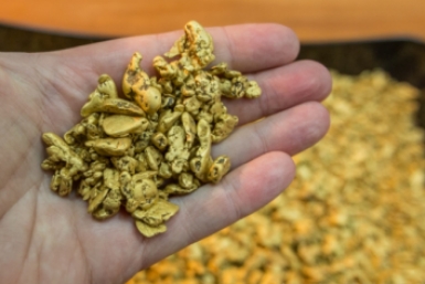 Следствие выявило крупные махинации с золотом в Якутии