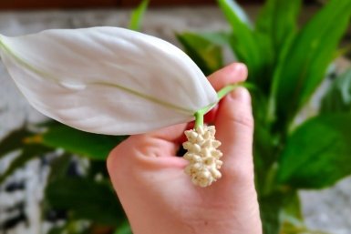 Тематическое фото ИА SevastopolMedia