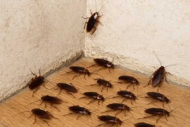 Тематическое фото ИИ Chatgpt (18+)