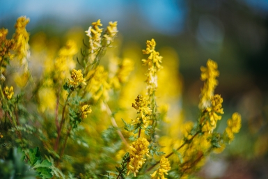 Гороскоп на 11 апреля: Сбой в расписании вынудит взяться за чужую задачу Мария Смитюк, ИА PrimaMedia