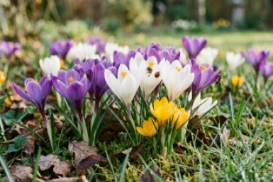 Тематическое фото Создано при помощи ИИ