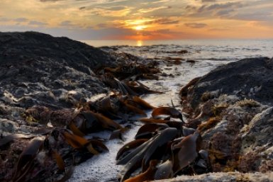 Гороскоп на неделю: Вы почувствуете прилив энергии Максим Мажарин, ИА PrimaMedia