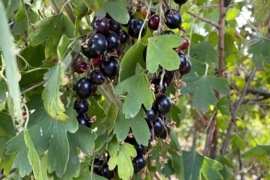 Тематическое фото ИА KrasnodarMedia