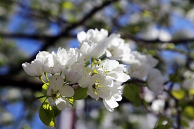 Гороскоп на 14 апреля: Разговоры с людьми из прошлого выйдут на первый план Оленникова Мария, IrkutskMedia