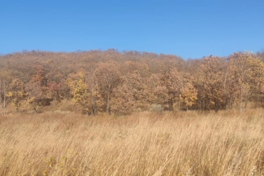 В Якутии бойцу СВО помогли обеспечить земельный участок инфраструктурой Марина  Померанцева , ИА EAOMedia