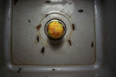 Тематическое фото Создано при помощи ИИ