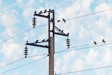 Тематическая фотография Илья Аверьянов, ИА PrimaMedia