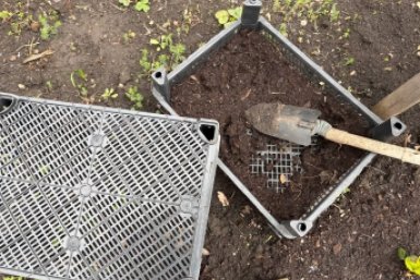 Не мусор, а витаминная капсула: бросаю на грядки в апреле – и почва как чернозем