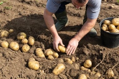 Тематическое фото Создано при помощи ИИ