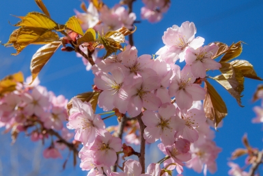 Гороскоп на 18 апреля: Утро этого дня потребует быстрой реакции