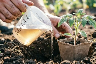 Тематическое фото Создано при помощи ИИ