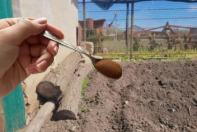 Мощнее навоза, компоста и селитры: рассыпаю эту муку после дождя в апреле - почва нежнее пухового облачка