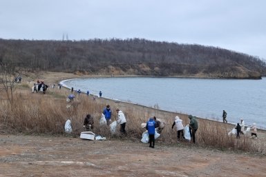 Акция в бухте Аякс Иван Дякин (Правительство Приморского края)
