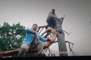 Новость дня