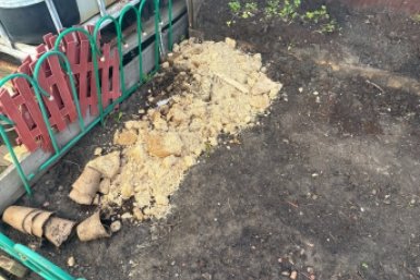 200 г в ведро - тля сквозь землю провалилась: узнала метод из Китая