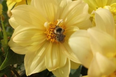 28 апреля — Пудов день: важная для дачников дата — что сделать на огороде в этот день