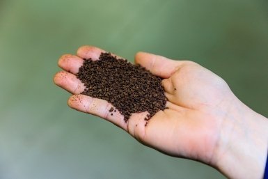 Фикус в восторге, а орхидея в коме: гид по чайному поливу цветов